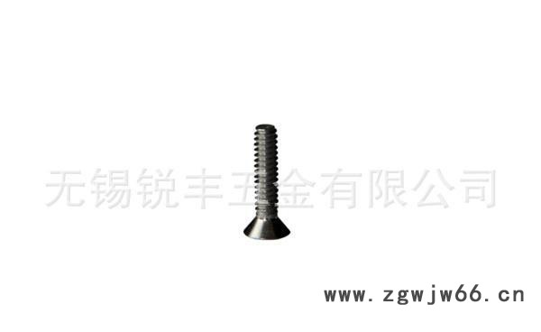 不锈钢4#-40*1/2十字沉头螺钉（加工定做紧固件）图2