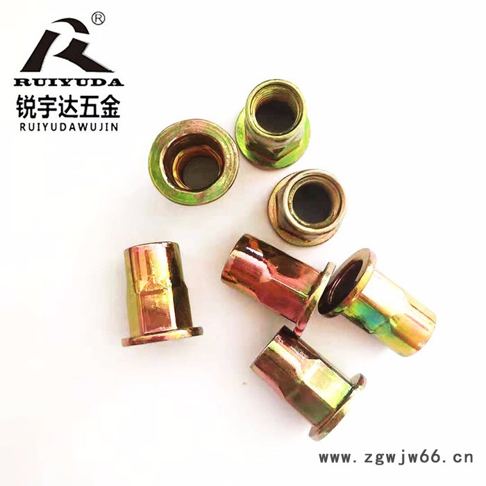 平头半六角拉帽 不锈钢彩锌拉铆螺母 铁拉帽 不锈钢拉帽 半六角不锈钢拉帽 国标德标紧固件图2