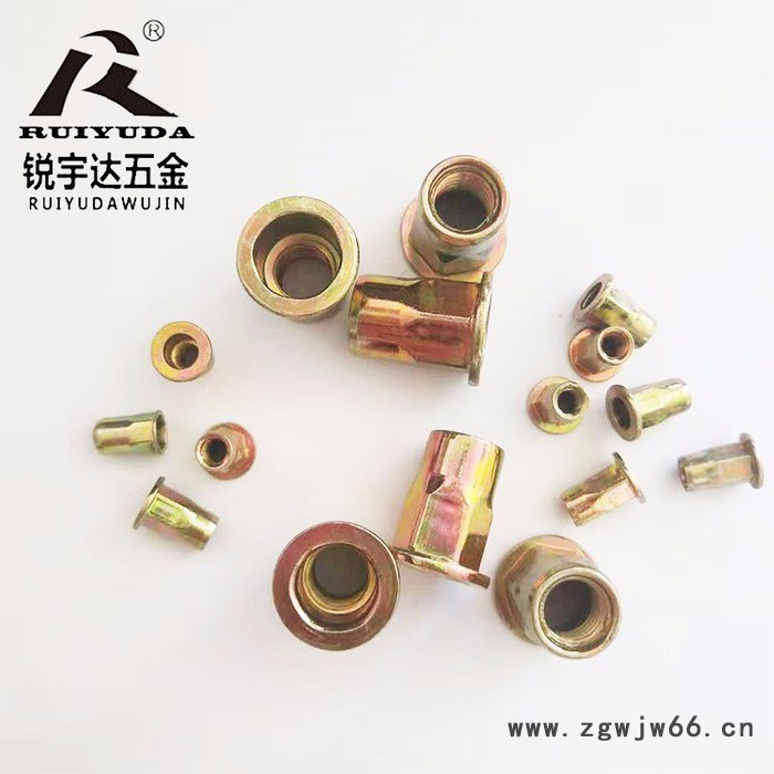 平头半六角拉帽 不锈钢彩锌拉铆螺母 铁拉帽 不锈钢拉帽 半六角不锈钢拉帽 国标德标紧固件图3