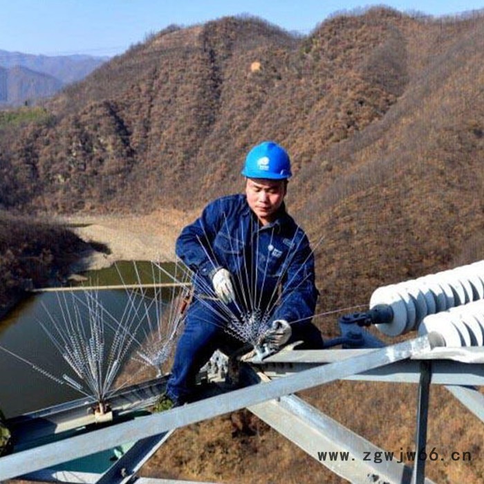 悍博 防鸟刺 不锈钢弹簧防鸟刺 防鸟刺热镀锌图2