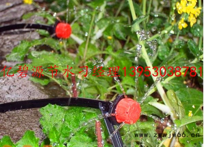 农业节水灌溉滴灌滴头喷头 可拆卸式压力补偿滴头 滴灌系统喷头图4