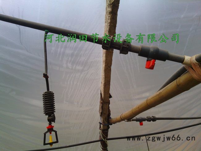 沅陵县吊悬微喷头种类多 湖南大棚微喷省时省力灌溉图2