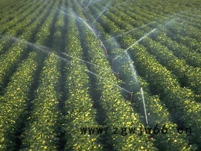 湖南大喷头厂家生产 大田喷灌 PVC管霈泽多种 大喷头图6