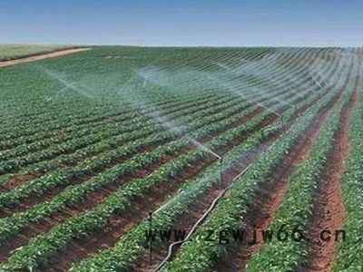 湖南大喷头厂家生产 大田喷灌 PVC管霈泽多种 大喷头图5