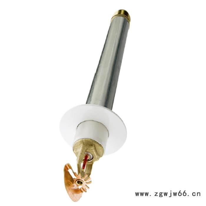 TYCO 标准响应 DS-1 K80 水平边墙干式喷头UL/3C/FM/LPCB  TY3355 玻璃球洒水喷头图1