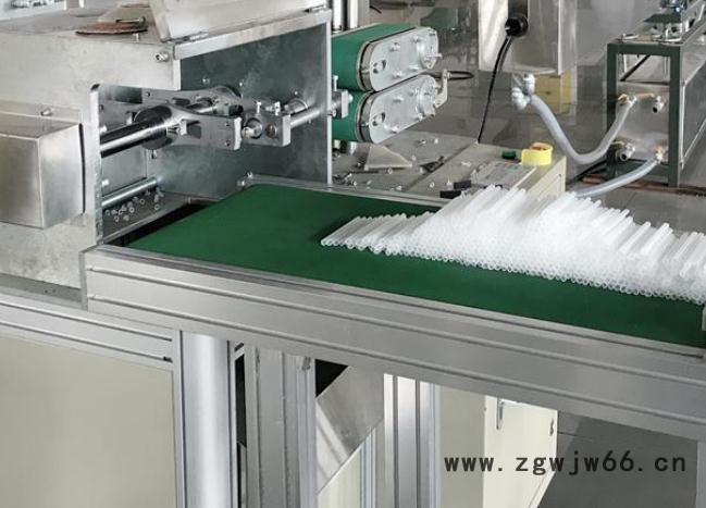 三晖盈sj-55 PE喷头管挤出机广东厂家直供图2