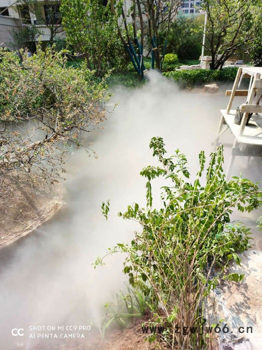 喷泉设备 喷头 水池 冷雾系统图2