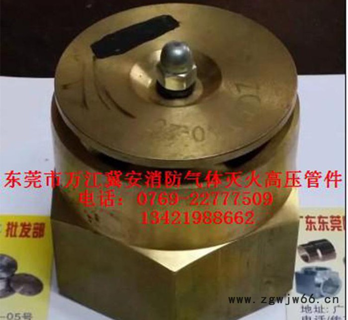 气体灭火专用喷头喷嘴七氟丙烷设备钢喷头铜喷头图3