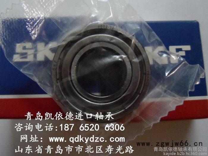 瑞典SKF进口轴承公司 双列深沟球轴承规格 6005-2RS1轴承供应商图2
