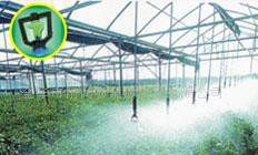 大棚温室花卉微喷设备及农业设施喷微灌产品 倒挂喷头地插雾化喷头图7