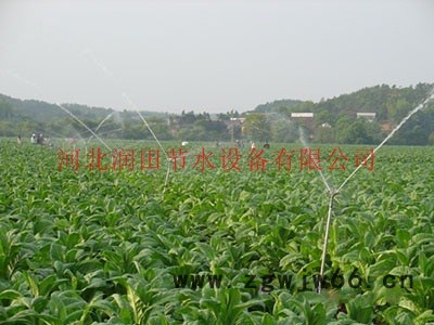 茶叶zy-2喷头 安徽大田喷灌喷头批发 霈泽多种 大田喷灌图6