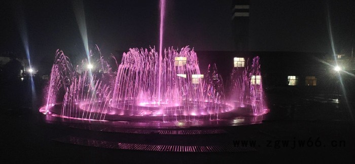 喷泉设计 水榭 水景设备 喷头图6