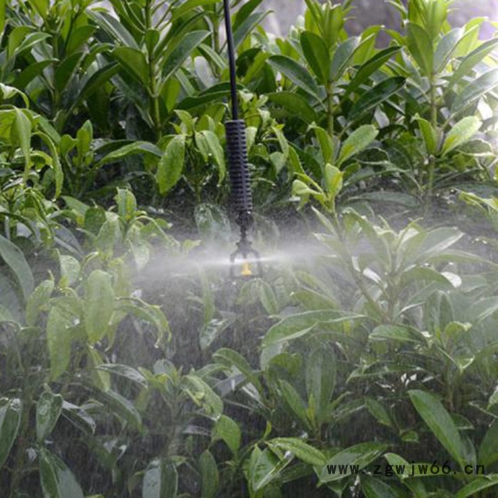 丰谷花园喷头涌泉地插喷头微喷可调喷头图4