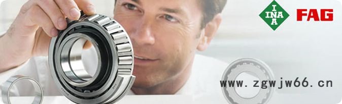 INA进口轴承代理NUTR40支撑滚轮轴承 菏泽滚针轴承批发图2