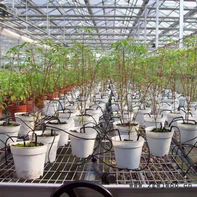 微喷、大棚微喷大棚微喷头大棚微喷pe管大棚微喷配件大棚喷头微喷