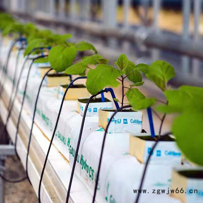 微喷、大棚微喷大棚微喷头大棚微喷pe管大棚微喷配件大棚喷头微喷图5