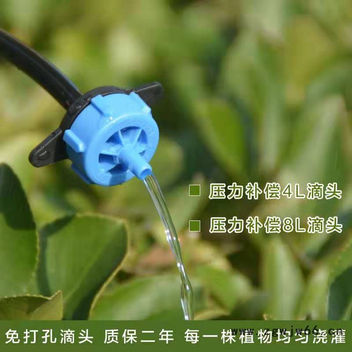 微喷、大棚微喷大棚微喷头大棚微喷pe管大棚微喷配件大棚喷头微喷图8