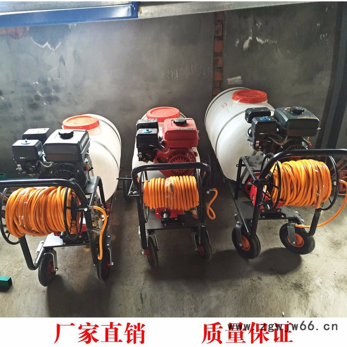 科博 多喷头果树打药机  消毒机型号图3