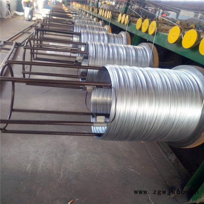 **镀锌丝 热镀锌钢丝 弹簧制造用的弹性钢丝  丝网编制 动物养殖专用钢丝图2