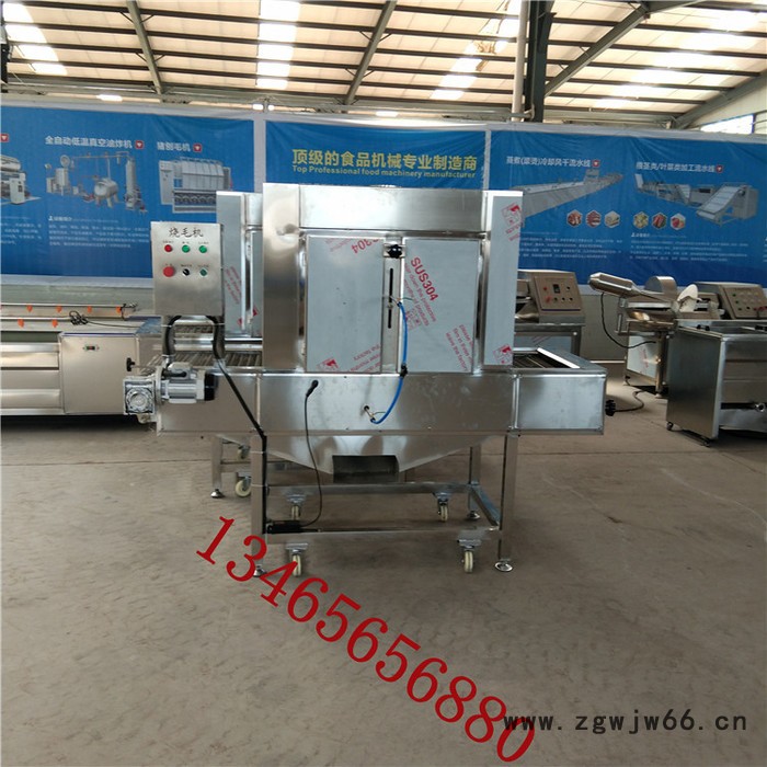 义康牌SMJ-2000型多喷头鸡翅烧毛机 连续式猪爪烧毛机 网带式鸡腿烧毛机图2