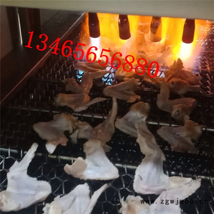 义康牌SMJ-2000型多喷头鸡翅烧毛机 连续式猪爪烧毛机 网带式鸡腿烧毛机图4