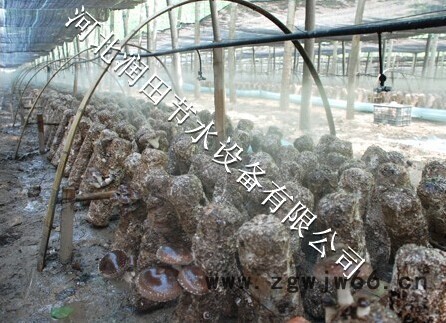 霈泽霈泽 陕西吊悬整套雾化喷头价格图3