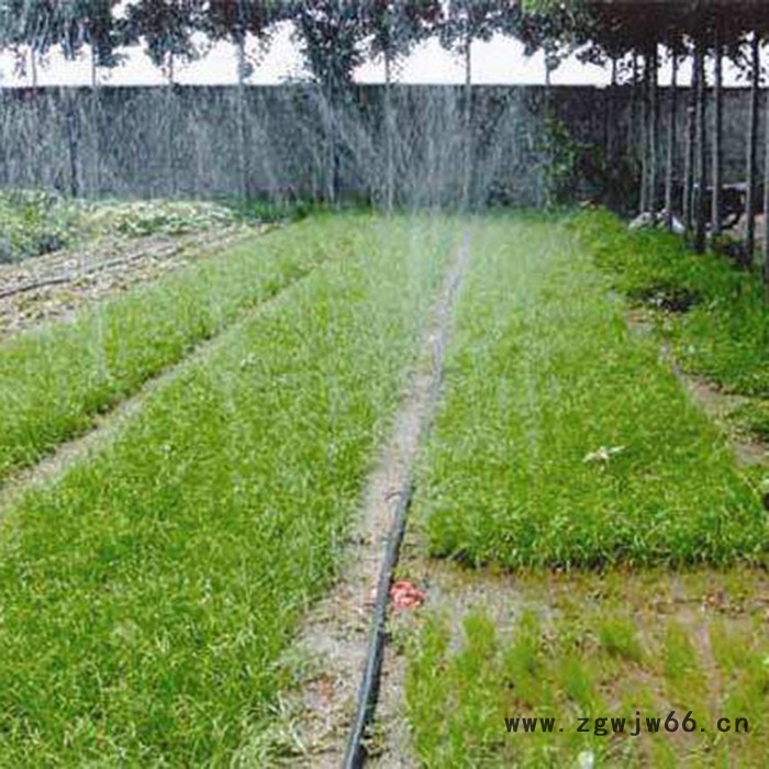 大棚吊挂微喷   360度旋转雾化喷头 全圆喷头吊挂式微喷图2