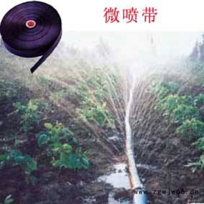 大棚吊挂微喷   360度旋转雾化喷头 全圆喷头吊挂式微喷图6