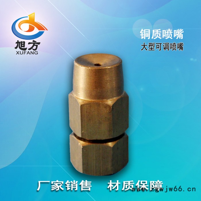 直销 铜质单孔喷嘴 园林喷头喷嘴 价格优惠图4