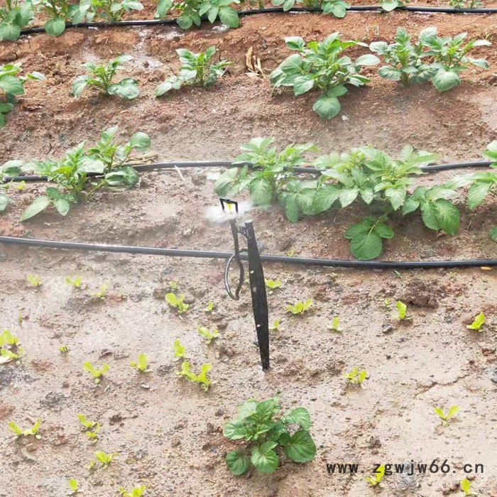 厂家出售 倒挂式微喷头/地插微喷 灌溉节水寿命长图4