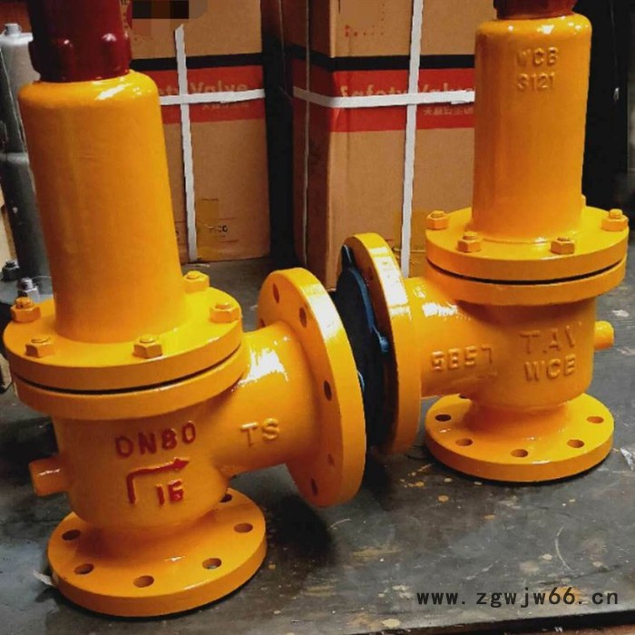 蓝宣阀门 A42F46-16C弹簧式衬氟安全阀 衬氟安全阀图6