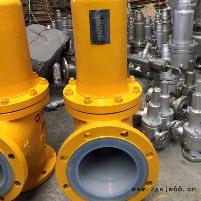 蓝宣阀门 A42F46-16C弹簧式衬氟安全阀 衬氟安全阀图2