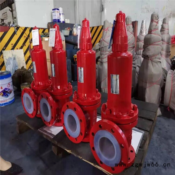 蓝宣阀门 A42F46-16C弹簧式衬氟安全阀 衬氟安全阀图5