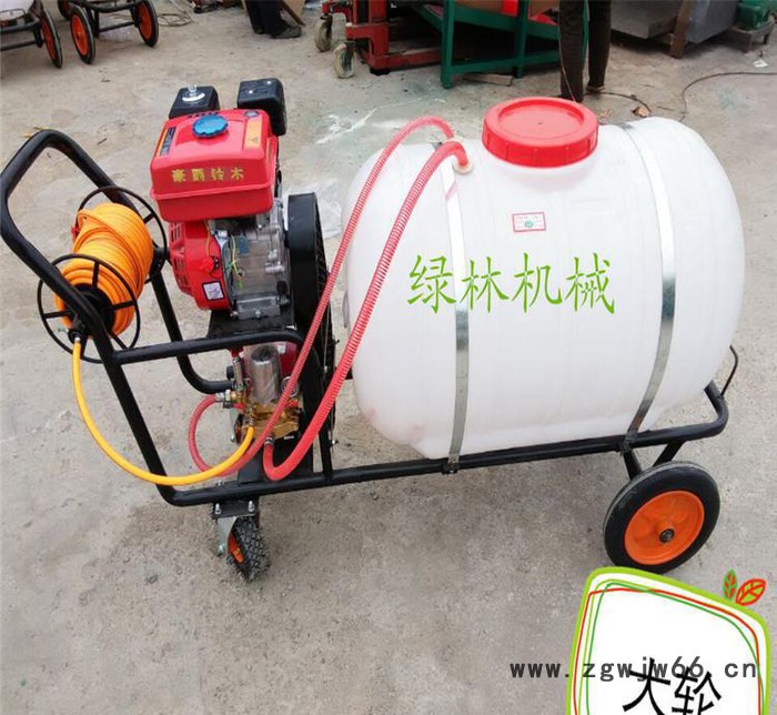 高度自动化打药机 高低压喷头打药车 消毒喷雾机图3