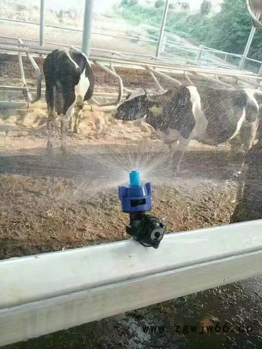 赞臣牛场高温 防暑降温喷头防堵塞过滤器智能喷淋电磁阀套件图5