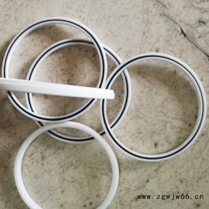 泛塞封油封 弹簧蓄能密封件 四氟油封 铁氟龙油封 四氟油缸油封  厂家供应图2