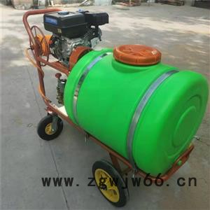 佳鑫机械 大面积农田专用高压打药机 多喷头麦田打药机 高喷杆多喷头农田杀虫机图7