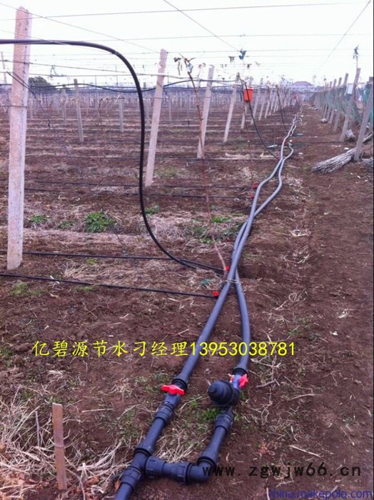 大棚滴灌设备|大棚滴灌工程|大棚滴灌安装滴灌喷头滴灌滴头滴灌管图3