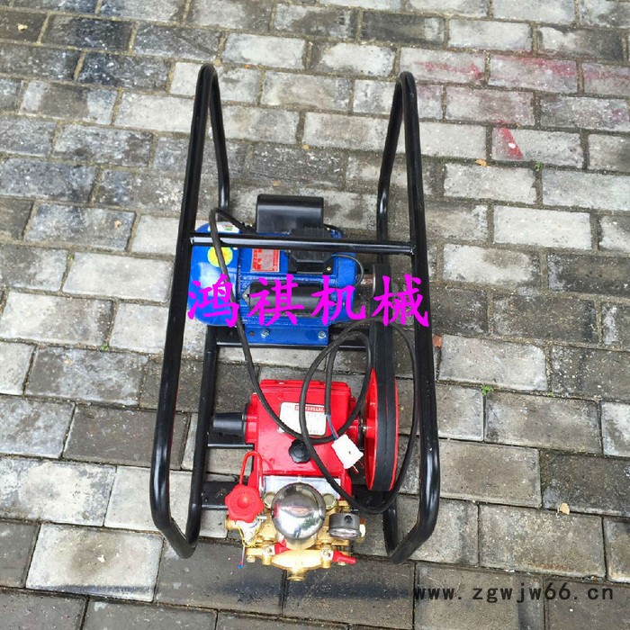 田园喷雾器双喷头 拉管式农田推车 万载县图7