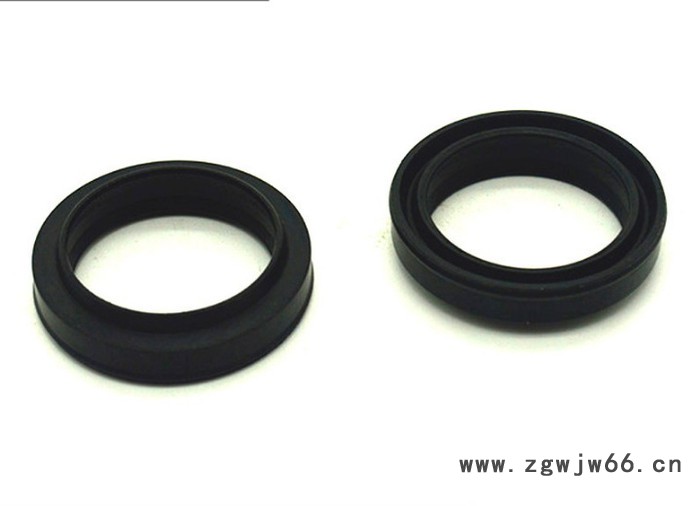 双面弹簧骨架油封图2