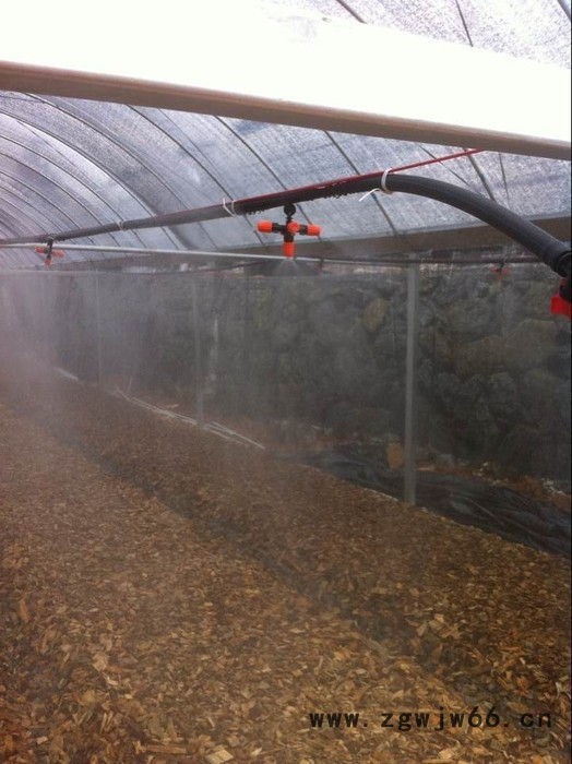 供应 雨润红嘴喷头 五通喷头 雾化喷头 农业喷头及节水灌溉产品图3