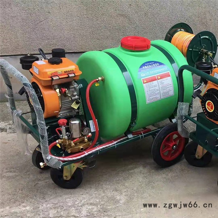 双动力农田喷药机 电启动轻便打药机 五个喷头农药喷洒机器图2