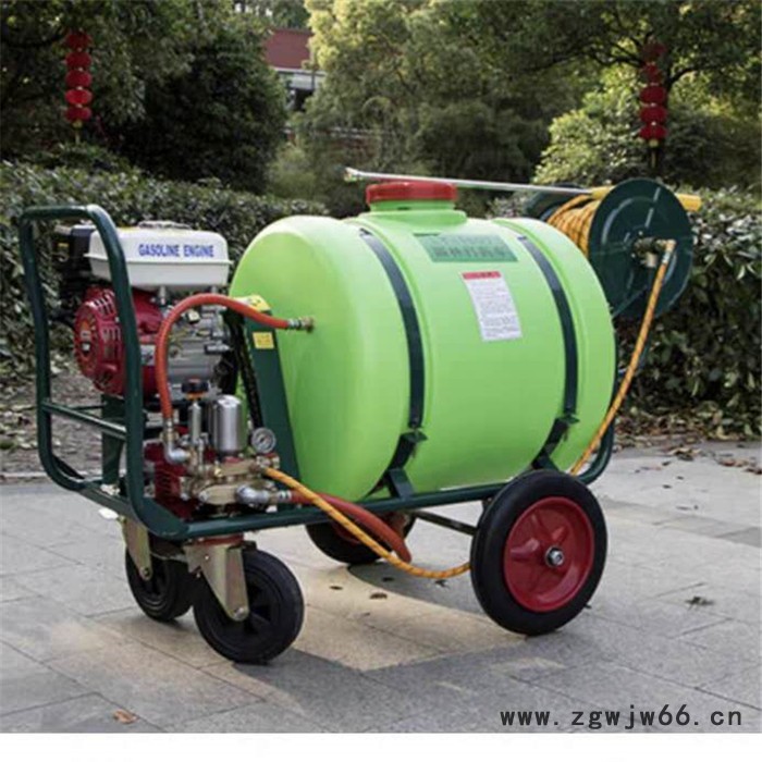 双动力农田喷药机 电启动轻便打药机 五个喷头农药喷洒机器图5