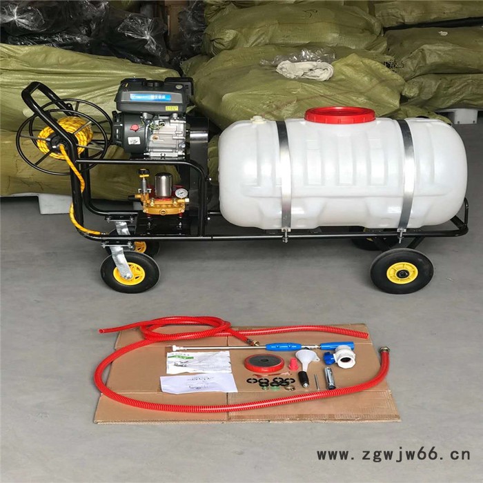 双动力农田喷药机 电启动轻便打药机 五个喷头农药喷洒机器图3