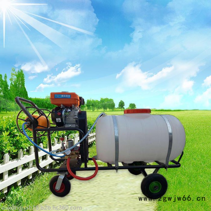 手推式打药机 园林喷雾机 自走式高杆多喷头打药车图7
