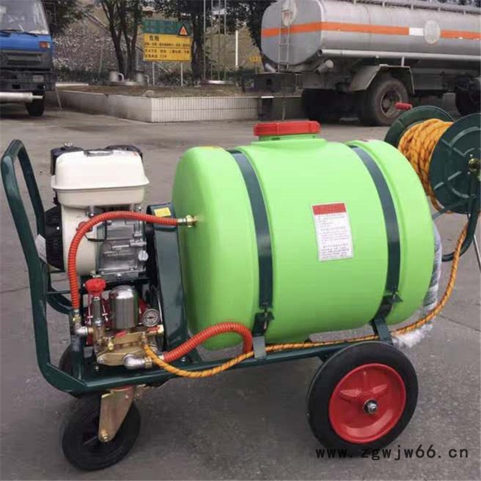 养殖场灭菌喷洒机 高压喷头喷雾机 全自动智能调速打药机图5