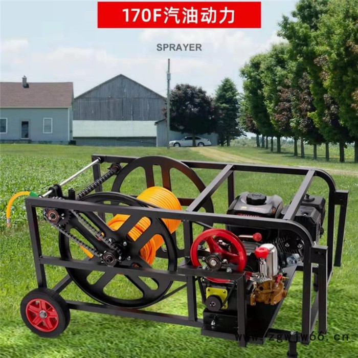 养殖场灭菌喷洒机 高压喷头喷雾机 全自动智能调速打药机图2