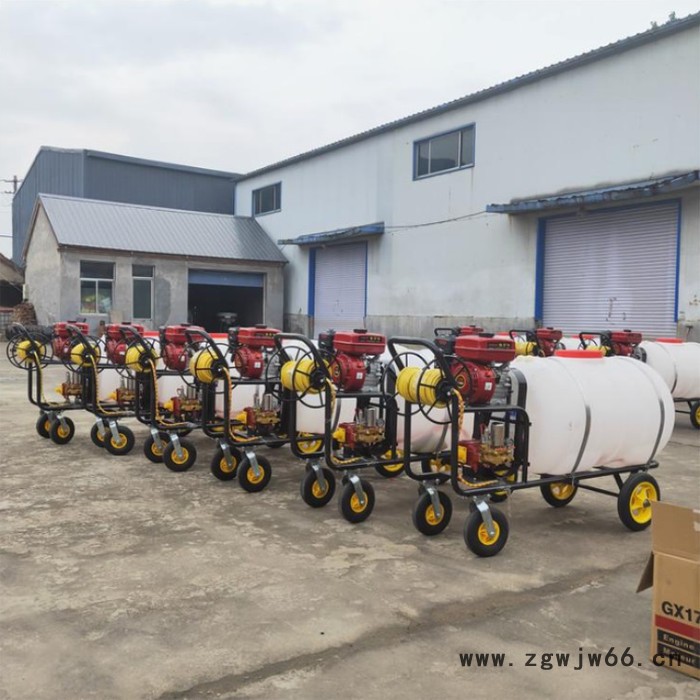 新型打药机打药机喷头 四冲打药机 高压力打药车现货直发图3