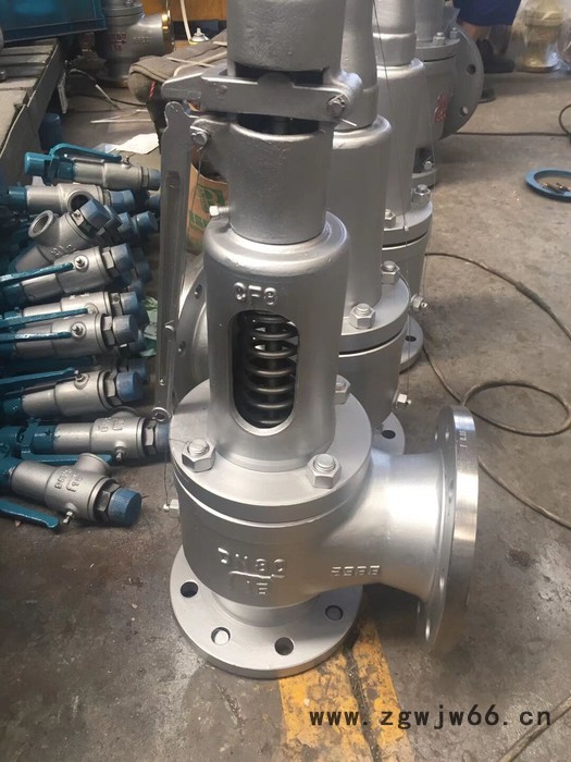 亚钛阀门 直销安全阀 法兰式安全阀 丝扣安全阀 弹簧式安全阀 名优产品 一件代发图5