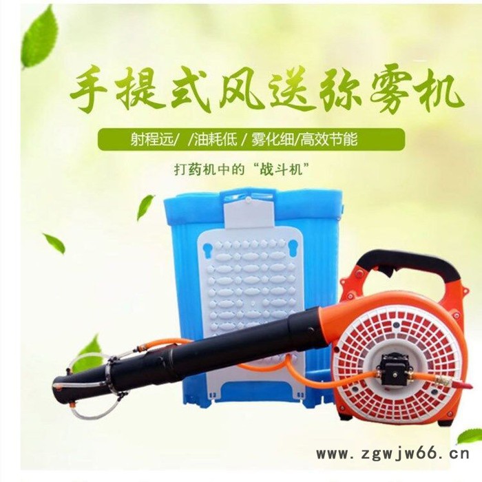 四喷头六喷头风送式弥雾机背负式汽油二冲程蔬菜大棚弥雾打药机 农用小型打药机图5
